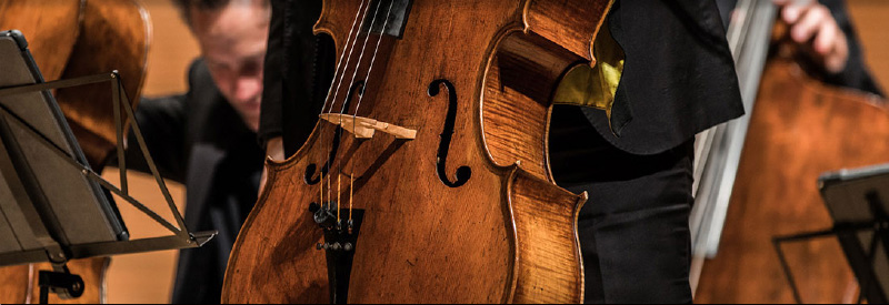 a cello in the orchestra