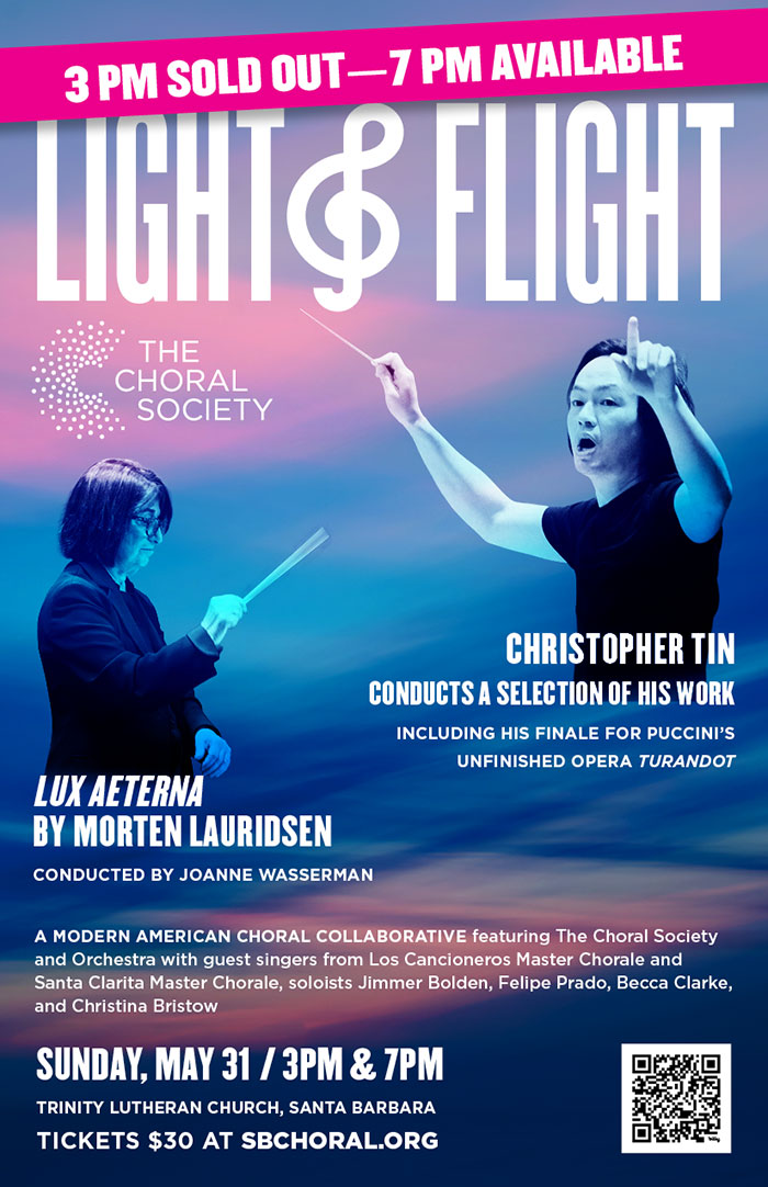 light and flight poster